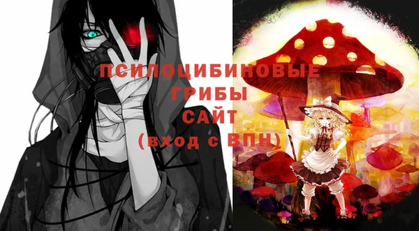 синтетический гашиш Алексин