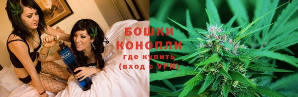 кокс Алзамай