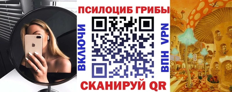 где купить наркотик Калтан мега онион Псилоцибиновые грибы ЛСД